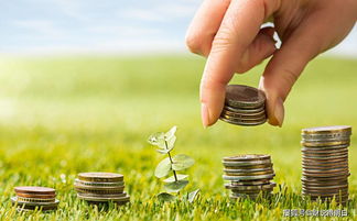 养老保险高基数缴费的真相 投入多五倍，领取却非五倍